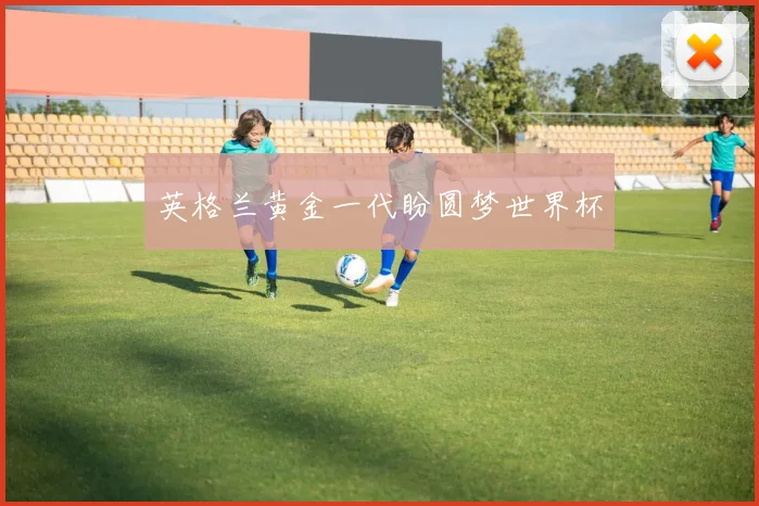 英格兰黄金一代盼圆梦世界杯