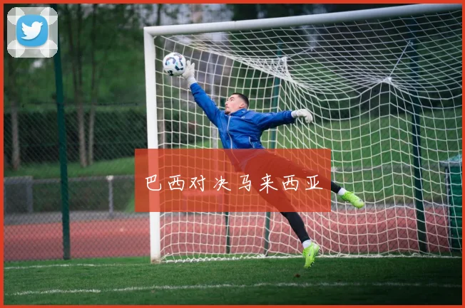 巴西对决马来西亚