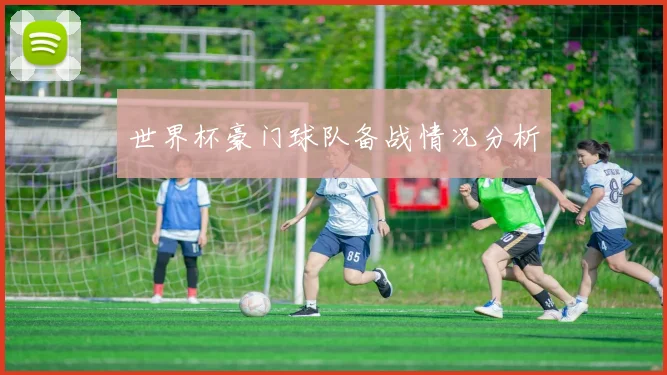 世界杯豪门球队备战情况分析
