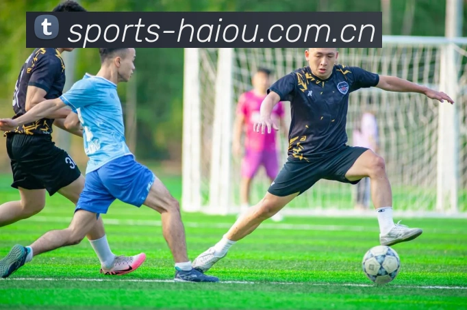 海鸥体育下载App下载